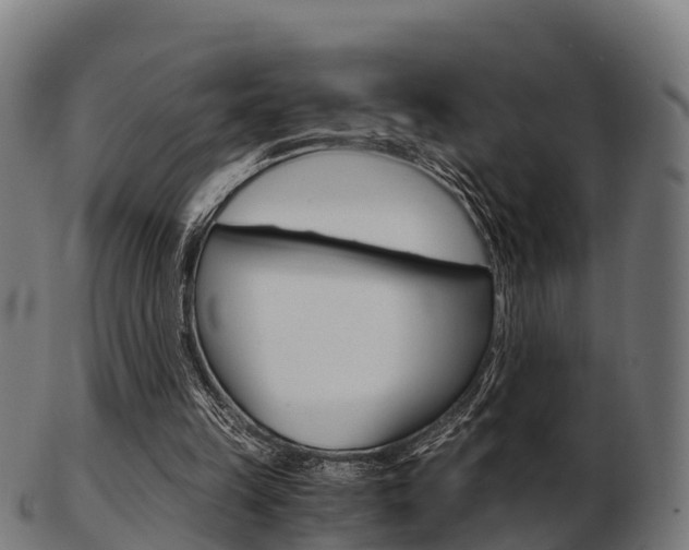 X0000103500149200809121020