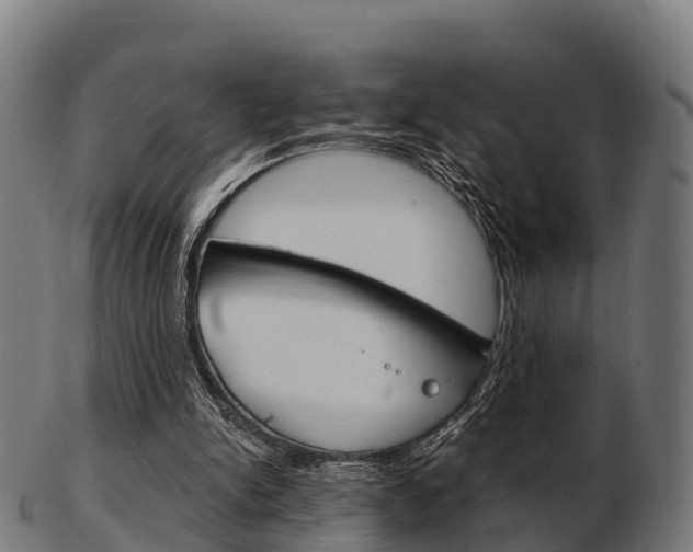 X0000103500150200809121020