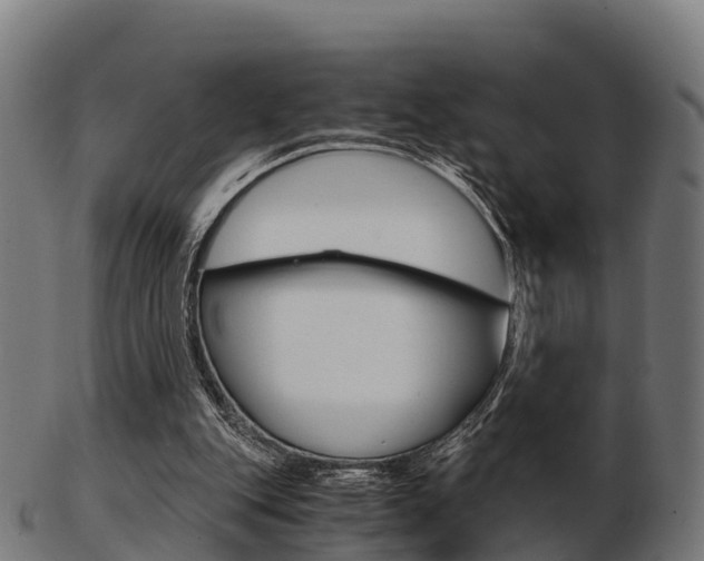 X0000103500151200809121020