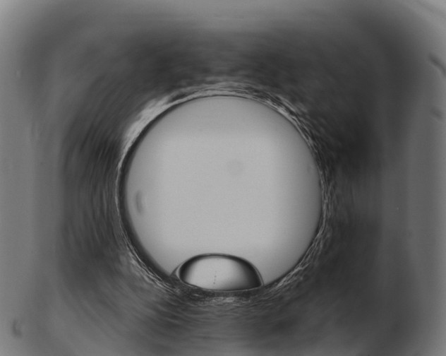 X0000103500152200809121020