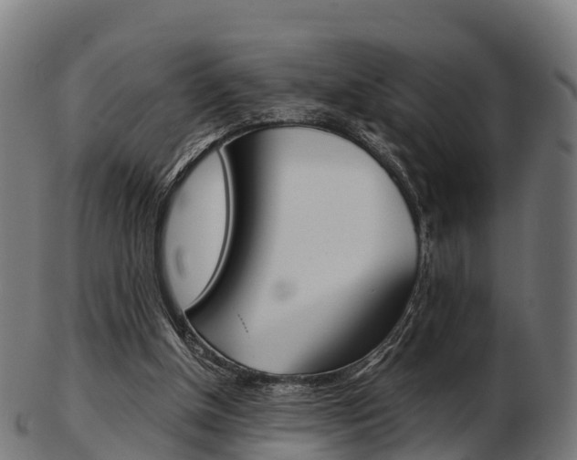 X0000103500154200809121020