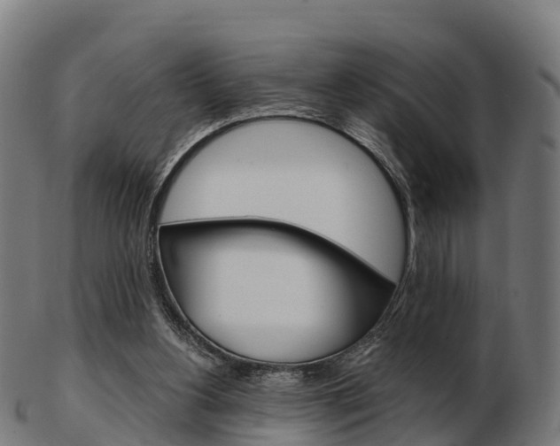 X0000103500156200809121020