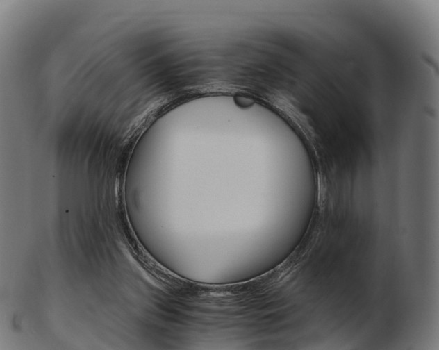 X0000103500157200809121020