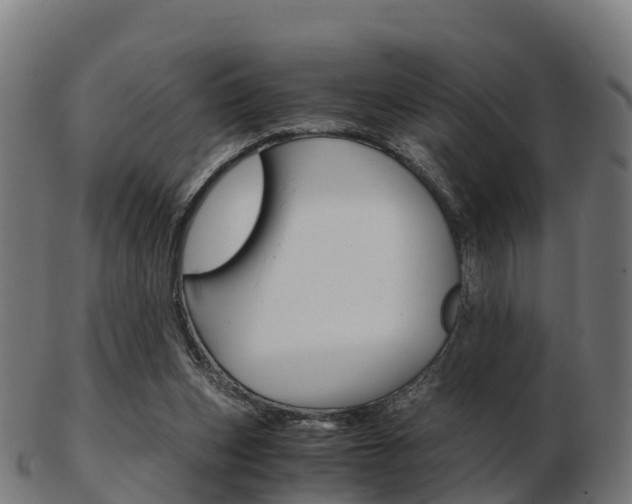 X0000103500159200809121020