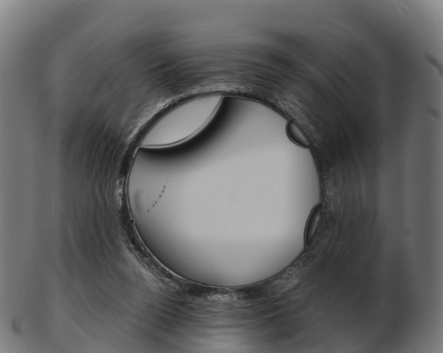 X0000103500160200809121020