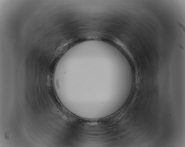 X0000103500161200809121020