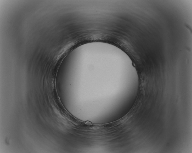 X0000103500164200809121020