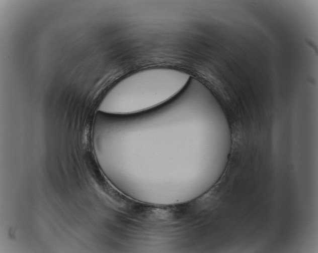 X0000103500166200809121020