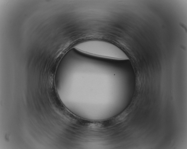 X0000103500168200809121020