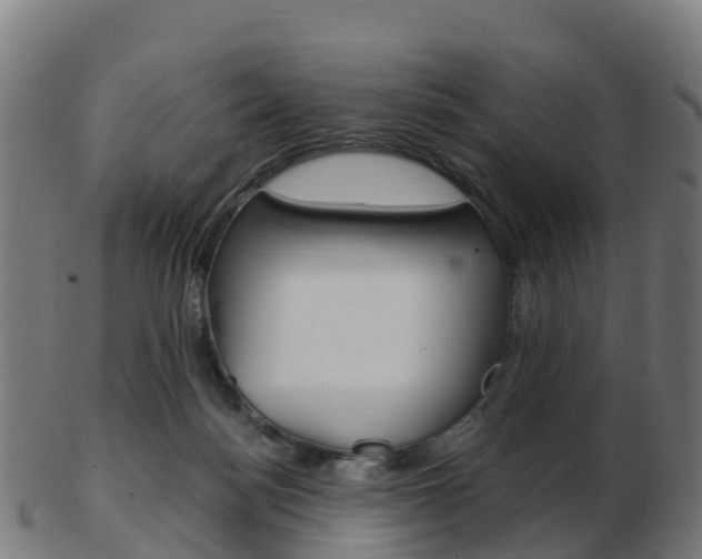 X0000103500172200809121020