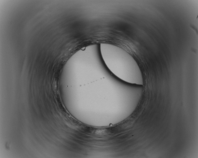 X0000103500173200809121020