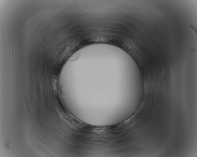 X0000103500175200809121020