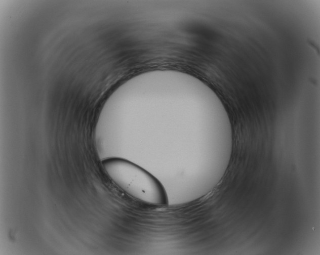 X0000103500176200809121020