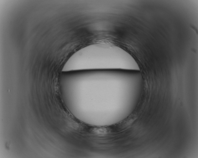 X0000103500181200809121020