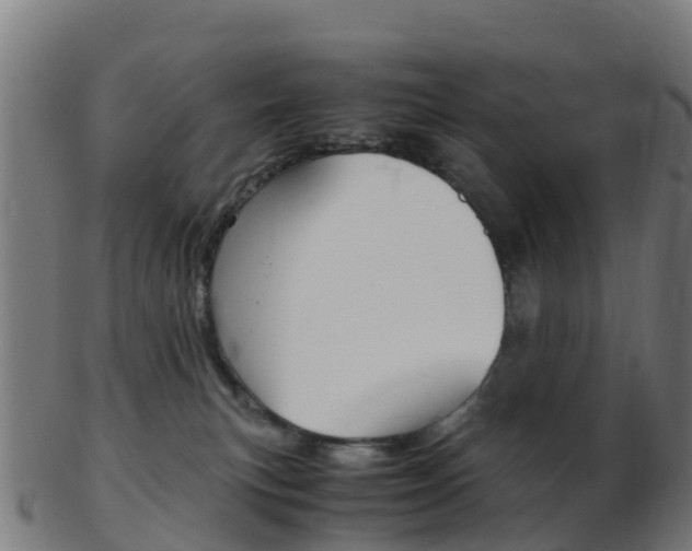 X0000103500183200809121020