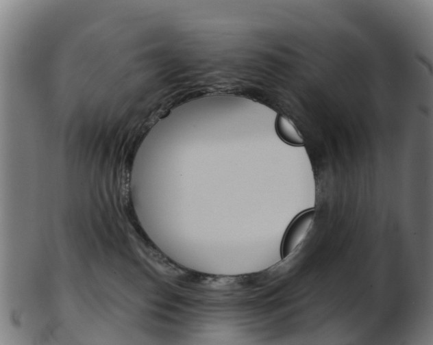 X0000103500186200809121020