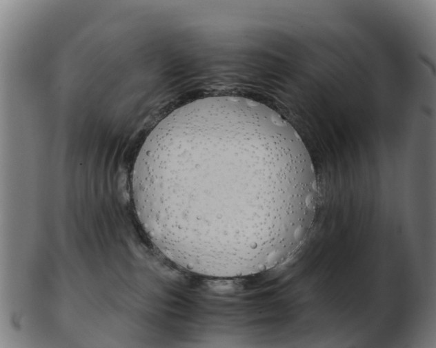 X0000103500187200809121020