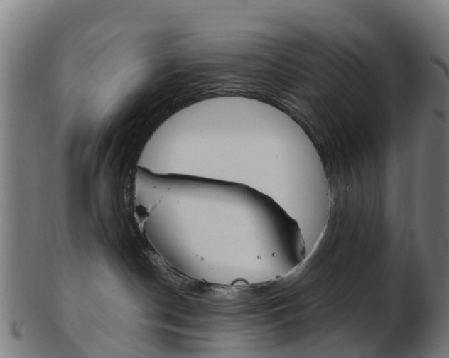 X0000103500190200809121020