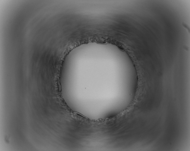 X0000103500192200809121020