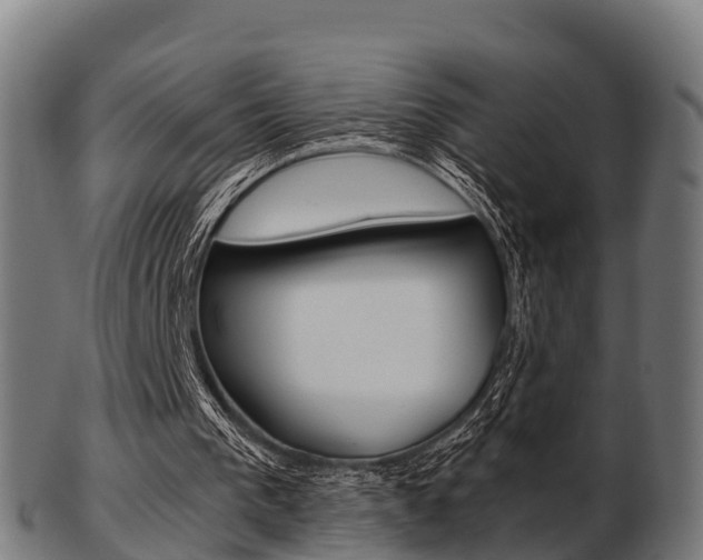 X0000103500193200809121019