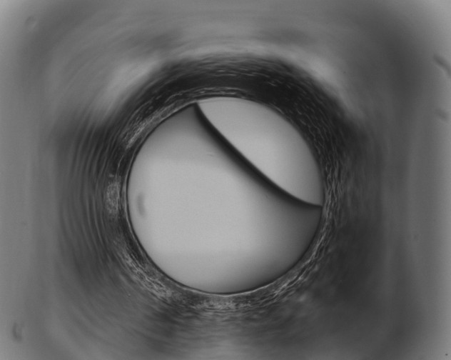 X0000103500194200809121019