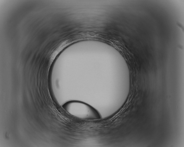 X0000103500195200809121019