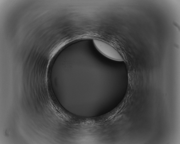 X0000103500196200809121019