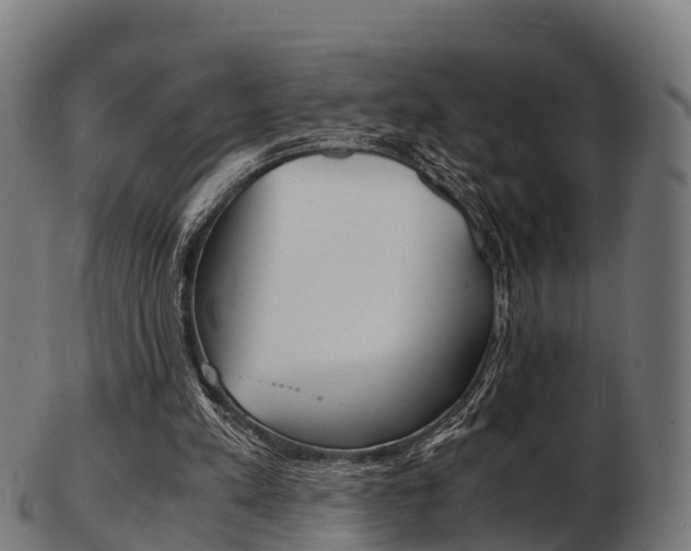 X0000103500197200809121019
