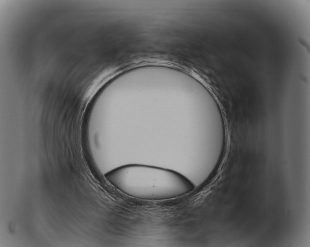 X0000103500199200809121019