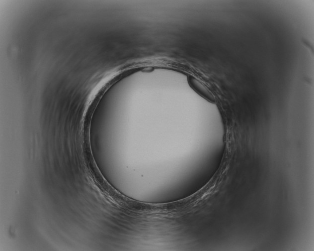 X0000103500200200809121019