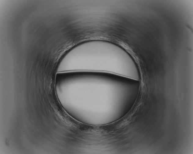 X0000103500201200809121019