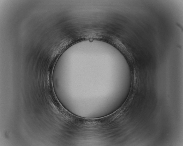 X0000103500202200809121019