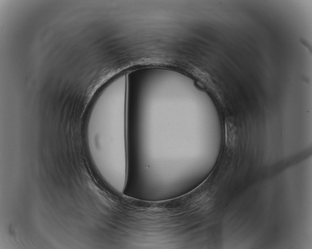 X0000103500204200809121019
