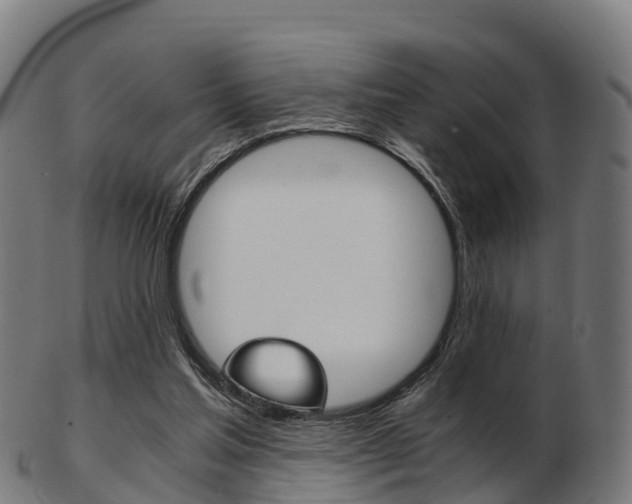 X0000103500205200809121019
