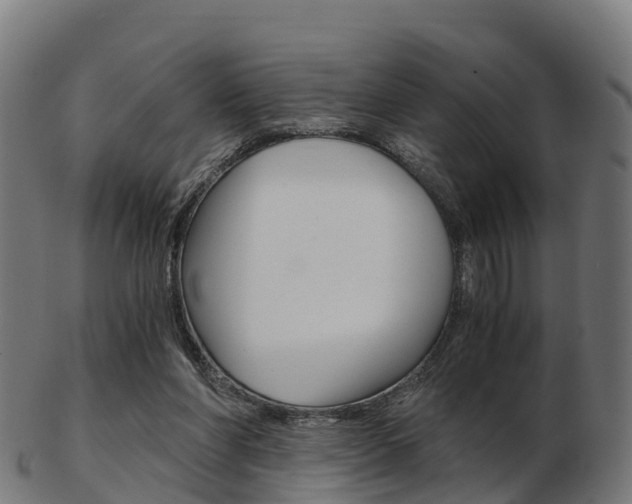X0000103500206200809121019