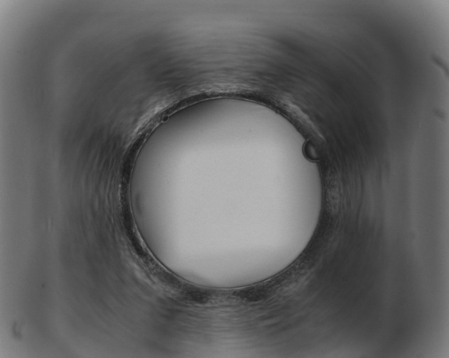 X0000103500207200809121019