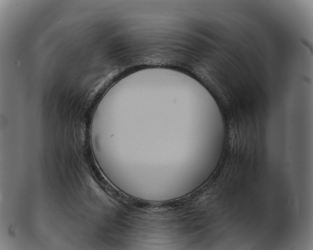 X0000103500208200809121019