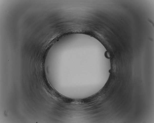X0000103500211200809121019