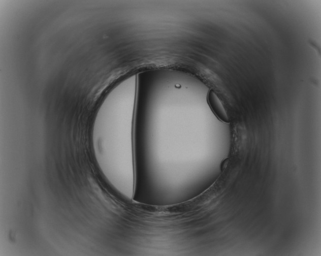 X0000103500212200809121019