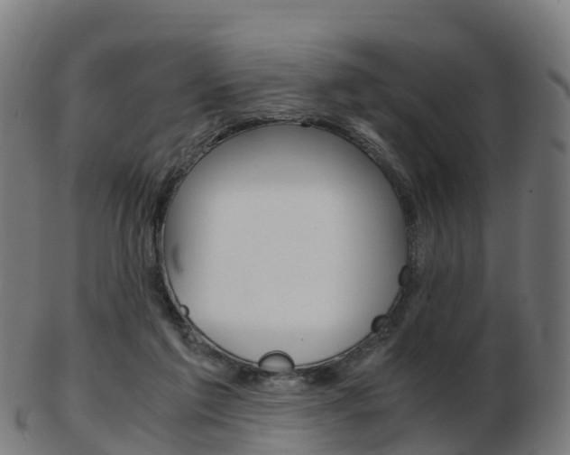 X0000103500213200809121019