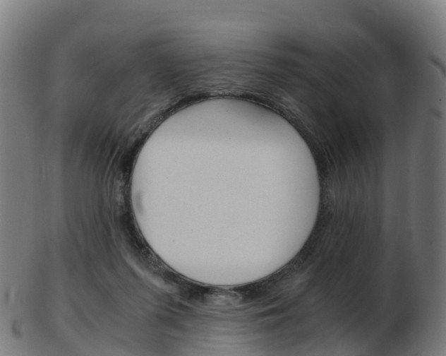 X0000103500215200809121019