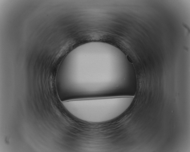 X0000103500216200809121019