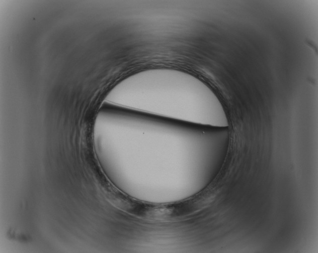 X0000103500217200809121019