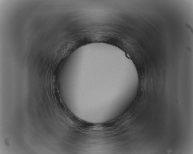 X0000103500219200809121019