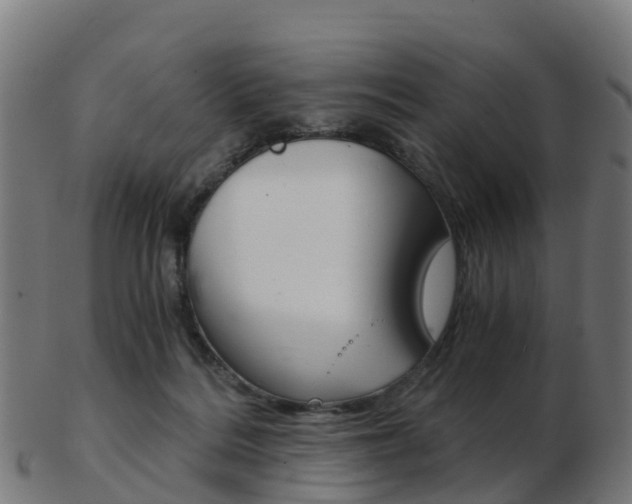 X0000103500220200809121019