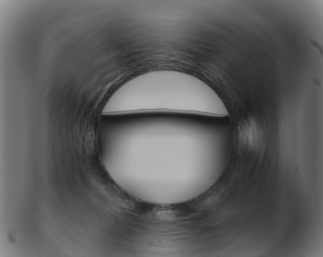 X0000103500228200809121019