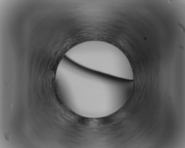 X0000103500229200809121019