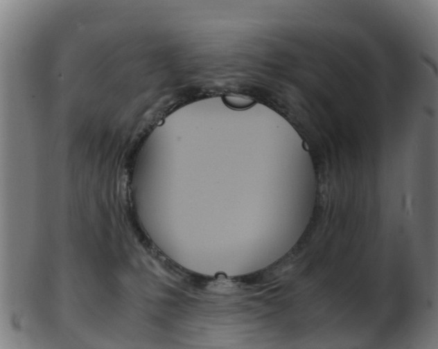X0000103500231200809121019