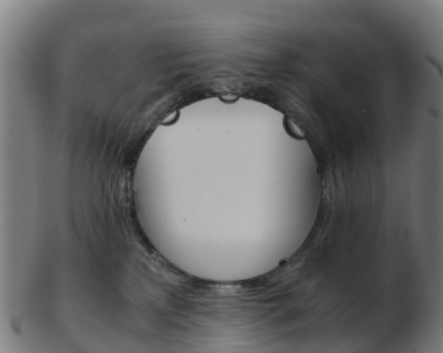 X0000103500233200809121019