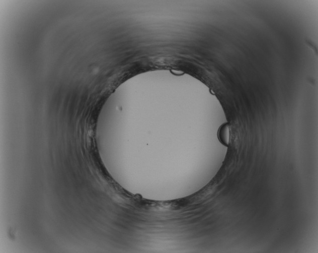 X0000103500235200809121019